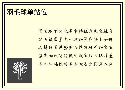 羽毛球单站位